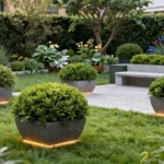 13 Elegant Outdoor Boxwood Planter Ideas for a Modern Minimalist Garden