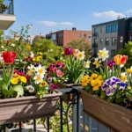 15 Best Spring Window Box Planting Ideas [Early Blooms]